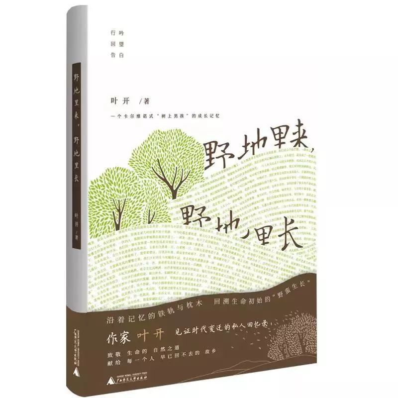 负重跑步机_无重力跑步机使用教程_反重力跑步机多少钱