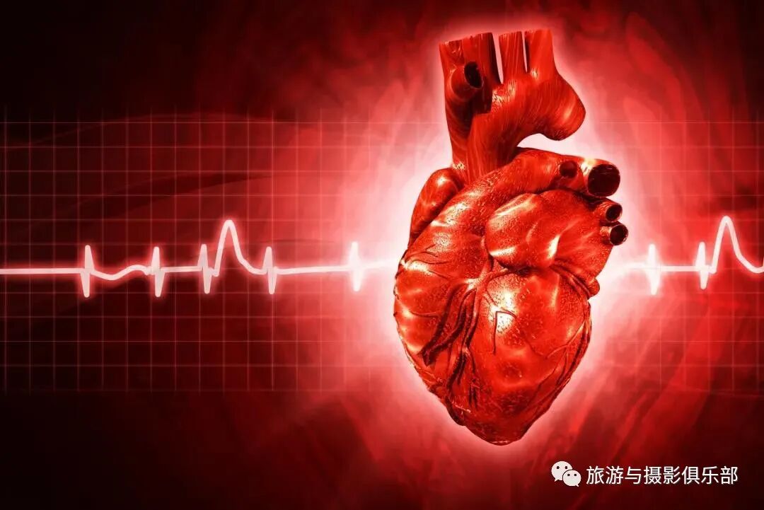 有氧运动好处及常见项目_有氧健身操效果_科学健康运动方法