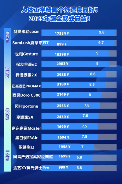 2025年人体工学椅排行榜_髋关节训练椅_人体工学椅选购指南
