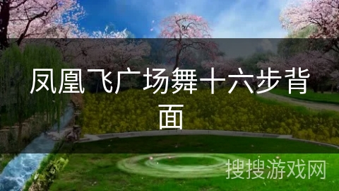 凤凰飞广场舞十六步背面