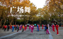 最受欢迎的十大经典广场舞歌曲_广场舞24步基本步法_广场舞设备有哪些