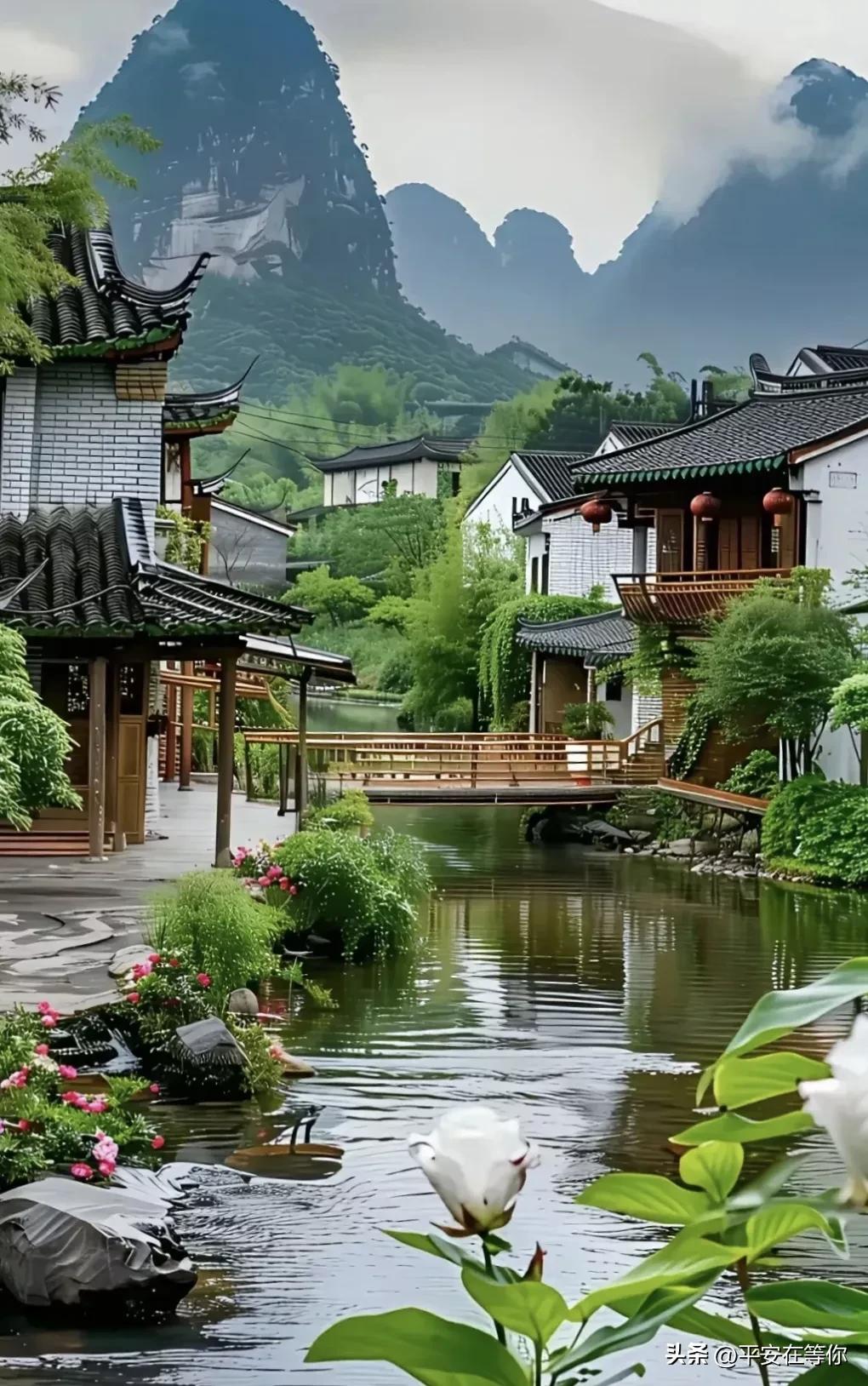 中老年广场舞衣服_老年体检重要性_养老金理财防骗