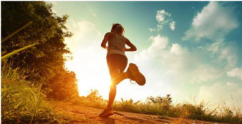 国产跑步机什么牌子的好_中国跑步机品牌排名_国内主流跑步机品牌