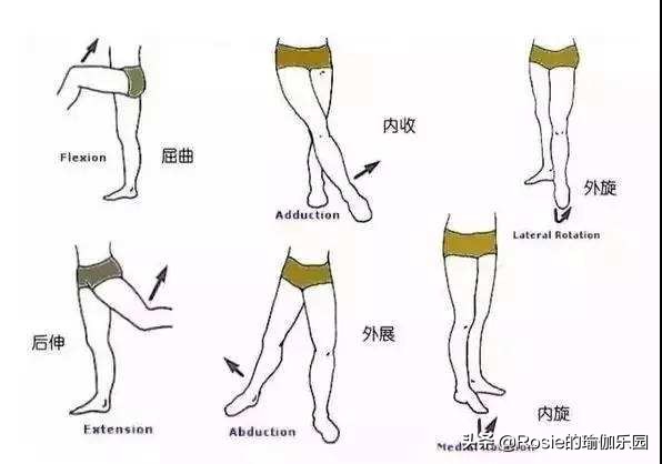 髋关节训练椅_久坐腰痛髋部僵紧缓解方法_髋关节灵活度锻炼动作
