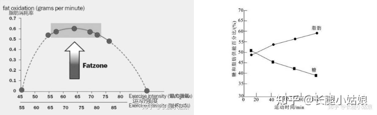 跑步机润滑油什么牌子好_家用跑步机选购指南_家用跑步机推荐