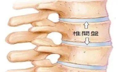博恩斯摇摆椅_腰椎稳定性训练_髋关节训练椅