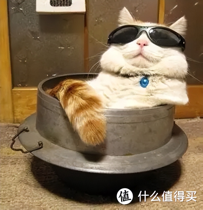 居家健身器材推荐_如何在家选择合适的动感单车_家用跑步机什么牌子的好