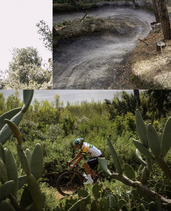 城市骑行自行车选择_公路车品牌推荐_sportsart自行车