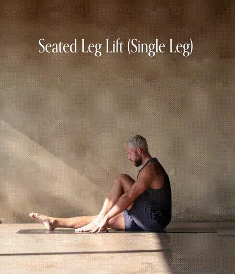 髋关节训练椅_久坐髋关节疼痛缓解方法_蜥蜴式微抖训练