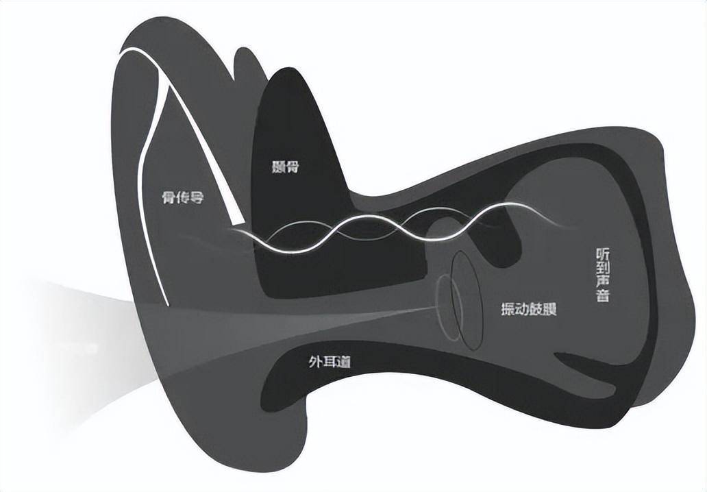什么牌子的跑步机好_开放式骨传导耳机推荐_运动耳机十大品牌