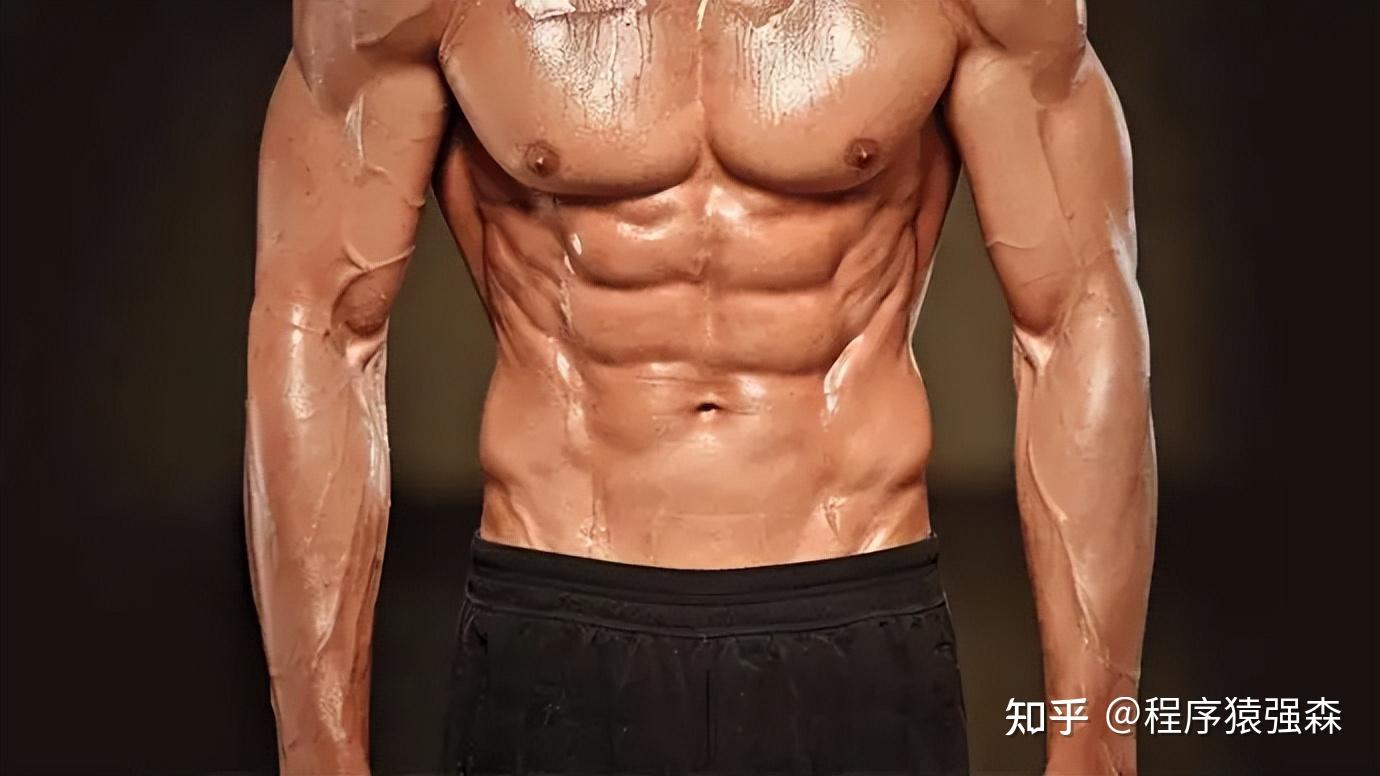 核心与腹肌的区别_腹肌训练与核心训练_力量综合训练器