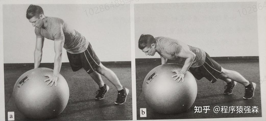 力量综合训练器_腹肌训练与核心训练_核心与腹肌的区别