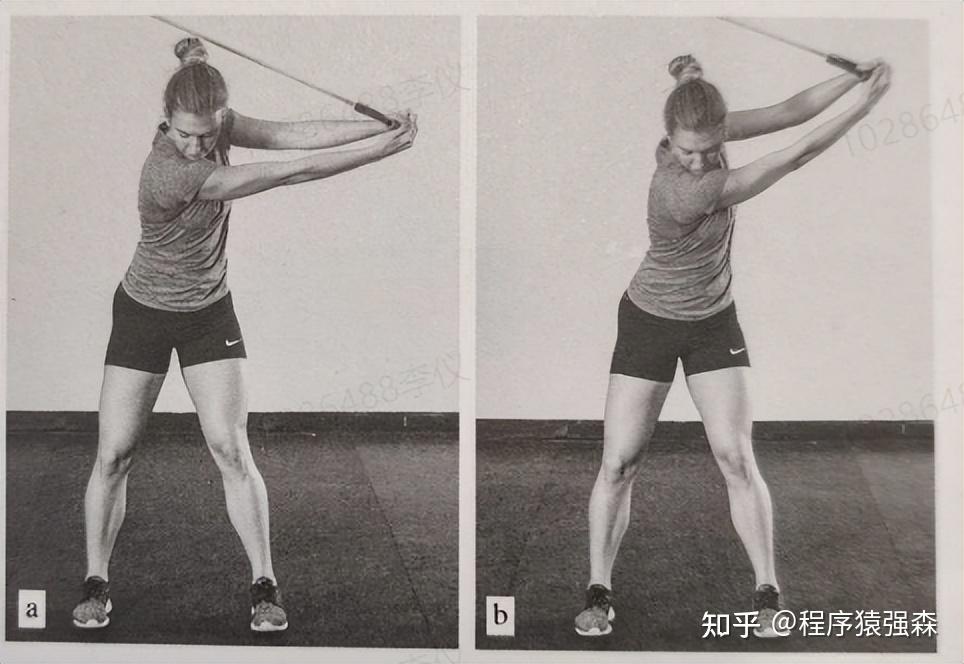 腹肌训练与核心训练_核心与腹肌的区别_力量综合训练器