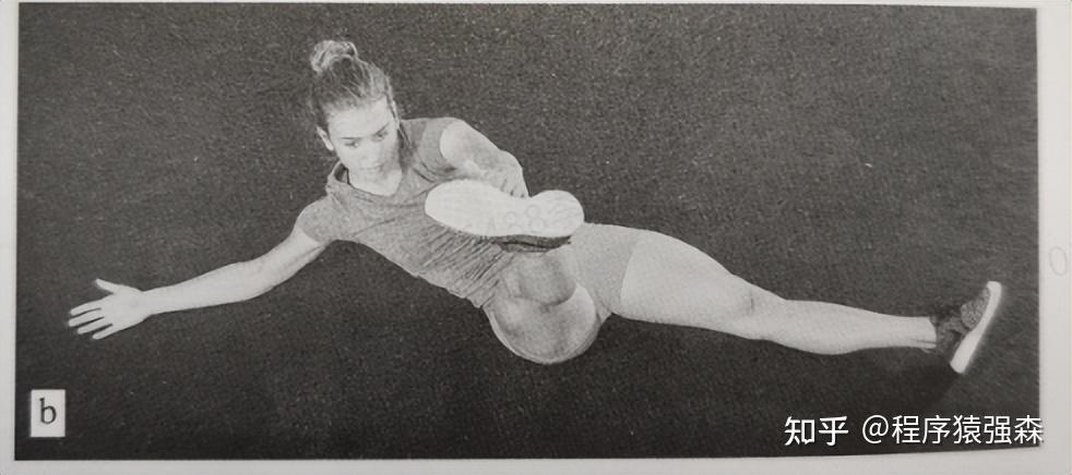 力量综合训练器_腹肌训练与核心训练_核心与腹肌的区别