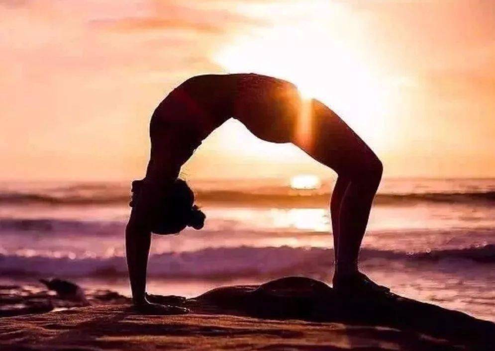 瑜伽体式功能介绍_夏日健身 瑜伽_常见瑜伽体式功效