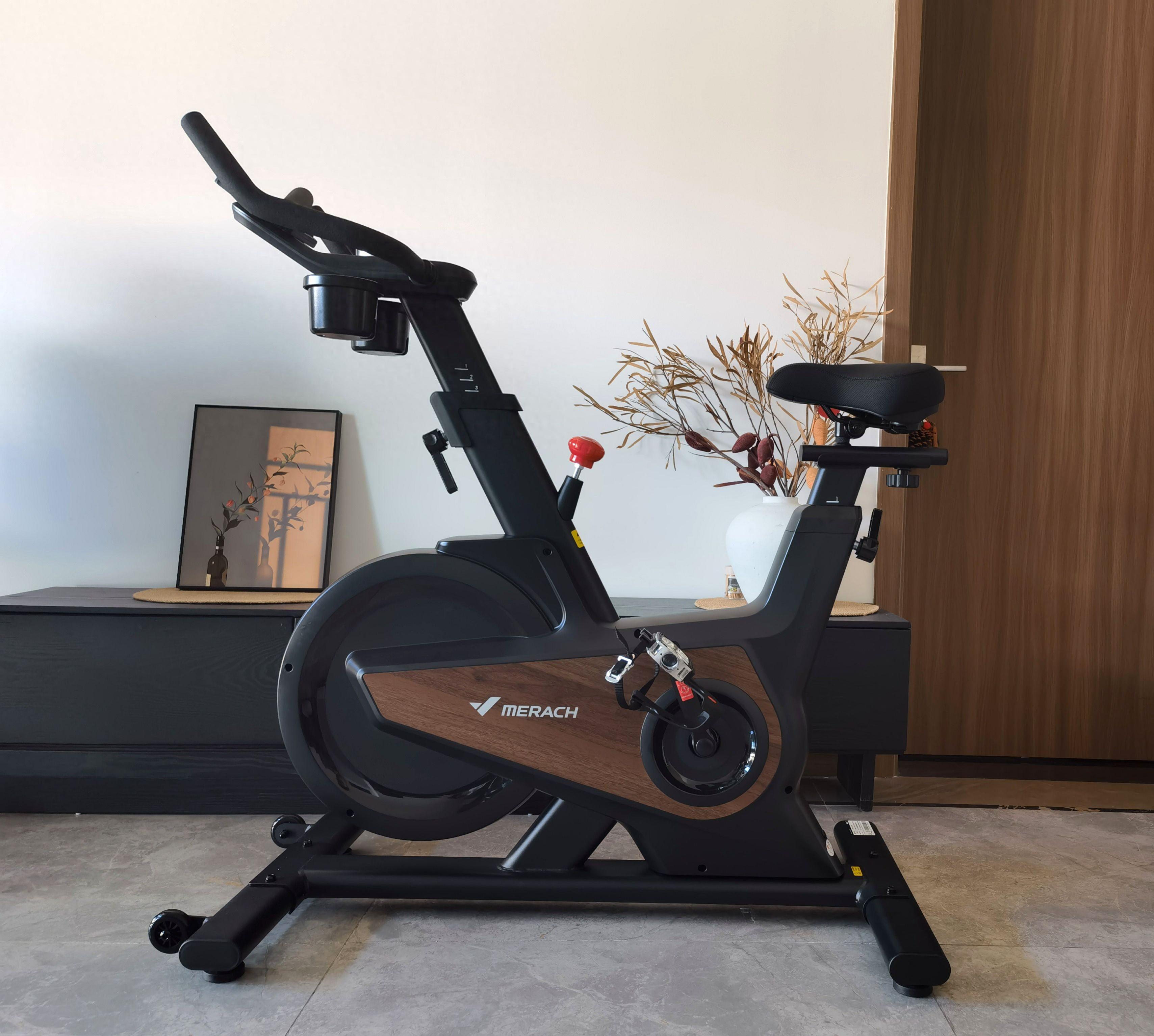 家用跑步机什么牌子好_飞轮重量与磁控系统_动感单车选购指南