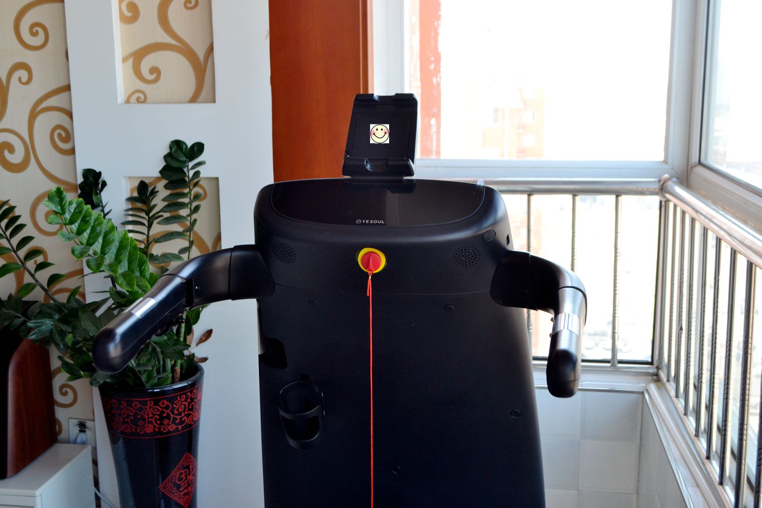 野小兽P30跑步机评测_家用跑步机质量排名_家用跑步机选购指南