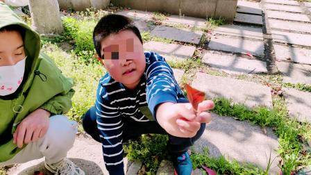 武汉心之初特教学校-户外游戏活动:点亮特殊孩子们的多彩世界-在特殊教育的道路上,每一个小小的进步都值得被关注和鼓励。