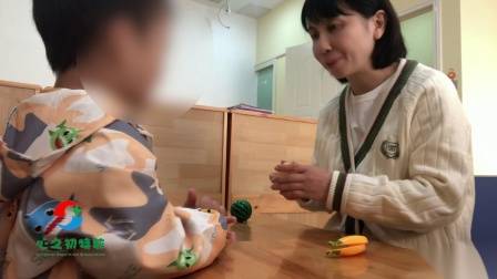 武汉自闭症儿童家庭康复课题:物品的特点-目标:孩子能指认和描述物品的外观形状,颜色等特征。提高孩子的观察力,语言理解能力和表达能力-来源:心之初特殊教育学校