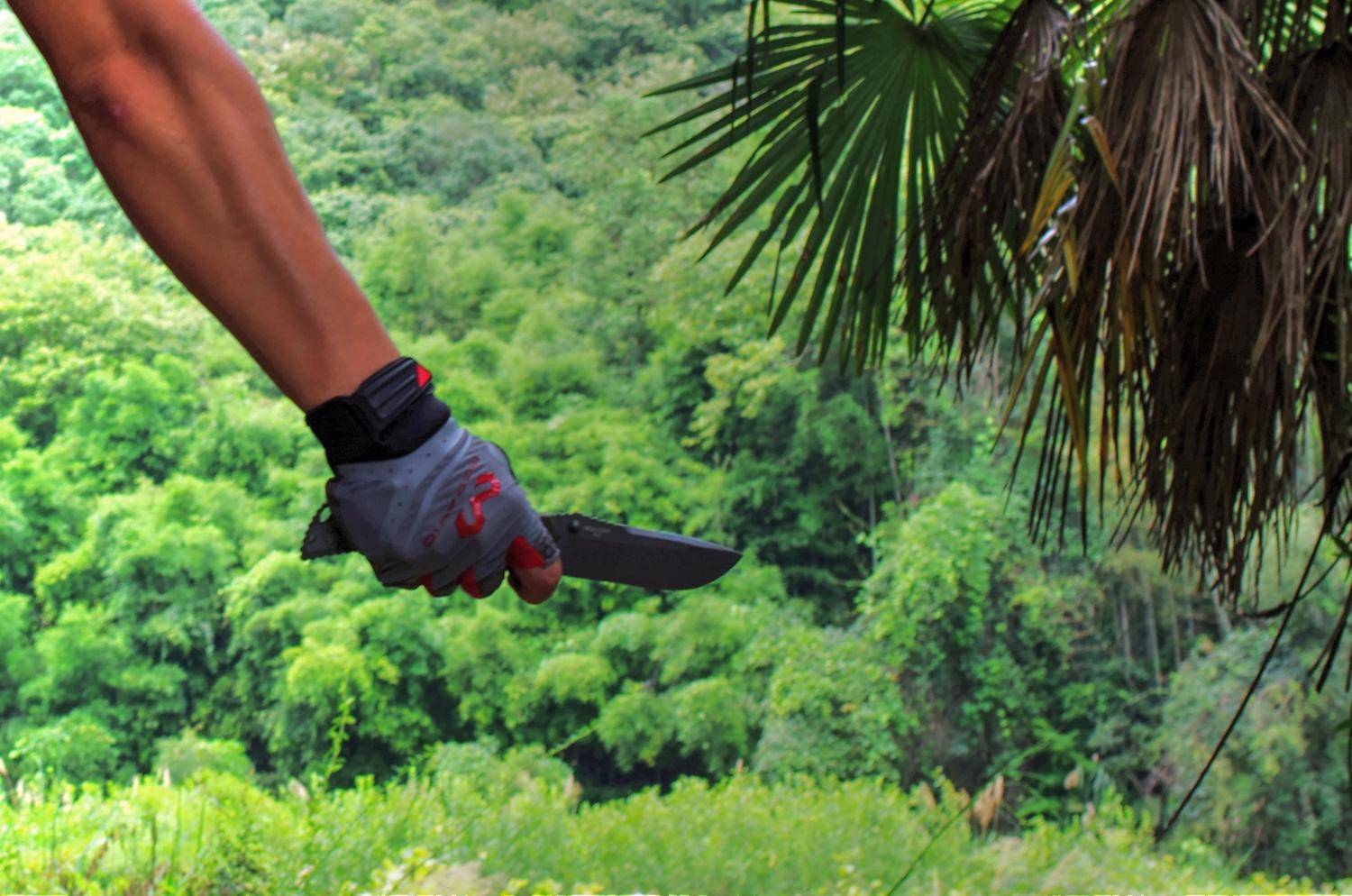 什么牌子的健身手套好_迈克达威手套_减脂计划