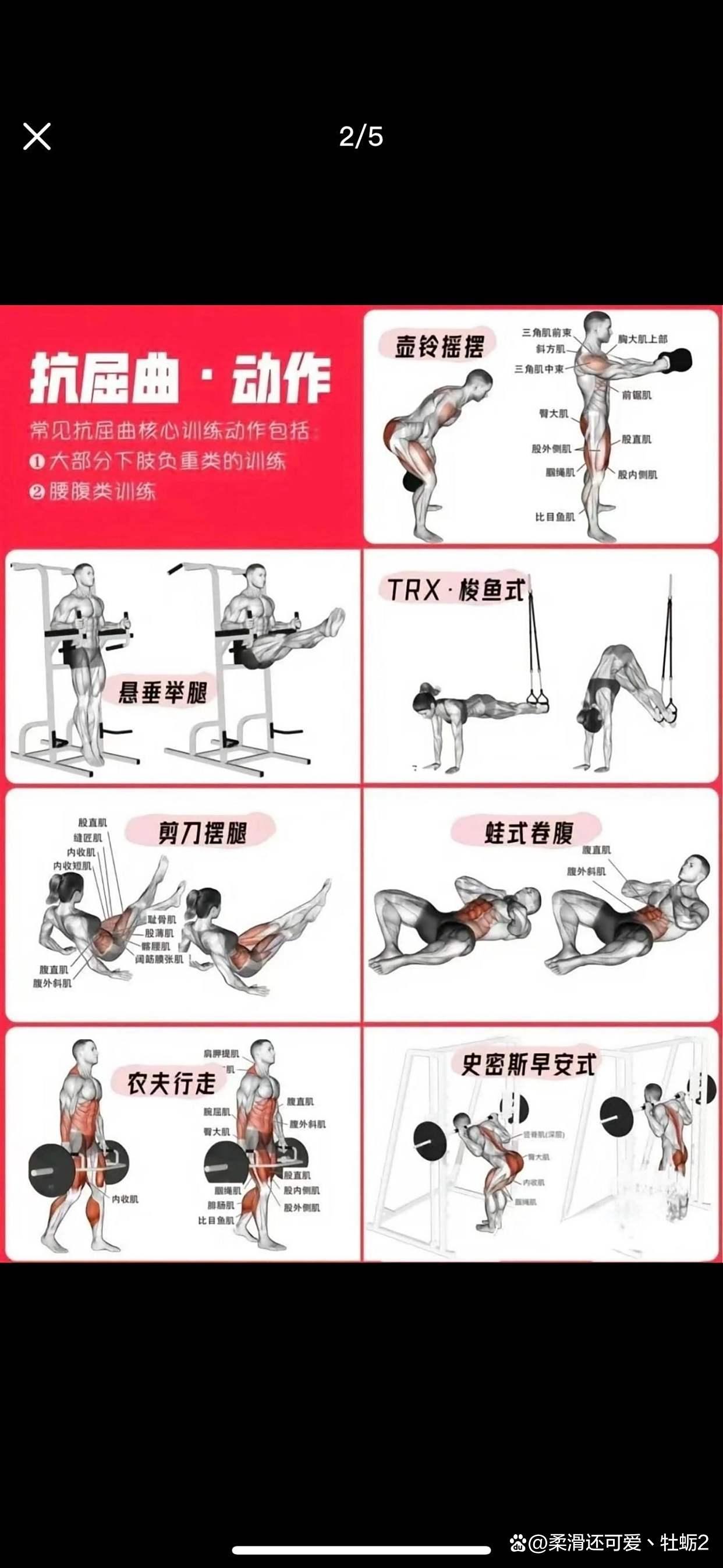 练到力竭才有肌肉_健身需要带手套吗_健身训练留口气