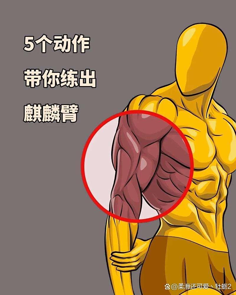 健身需要带手套吗_练到力竭才有肌肉_健身训练留口气