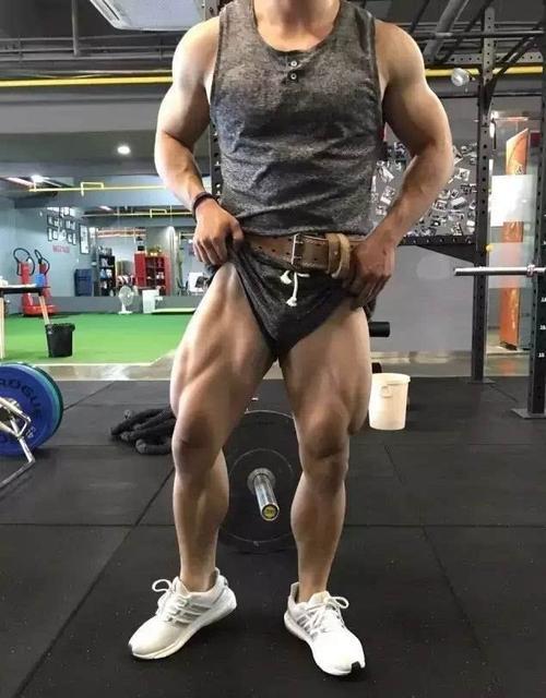 股四头肌训练椅_股四头肌保护膝盖作用_股四头肌训练方法