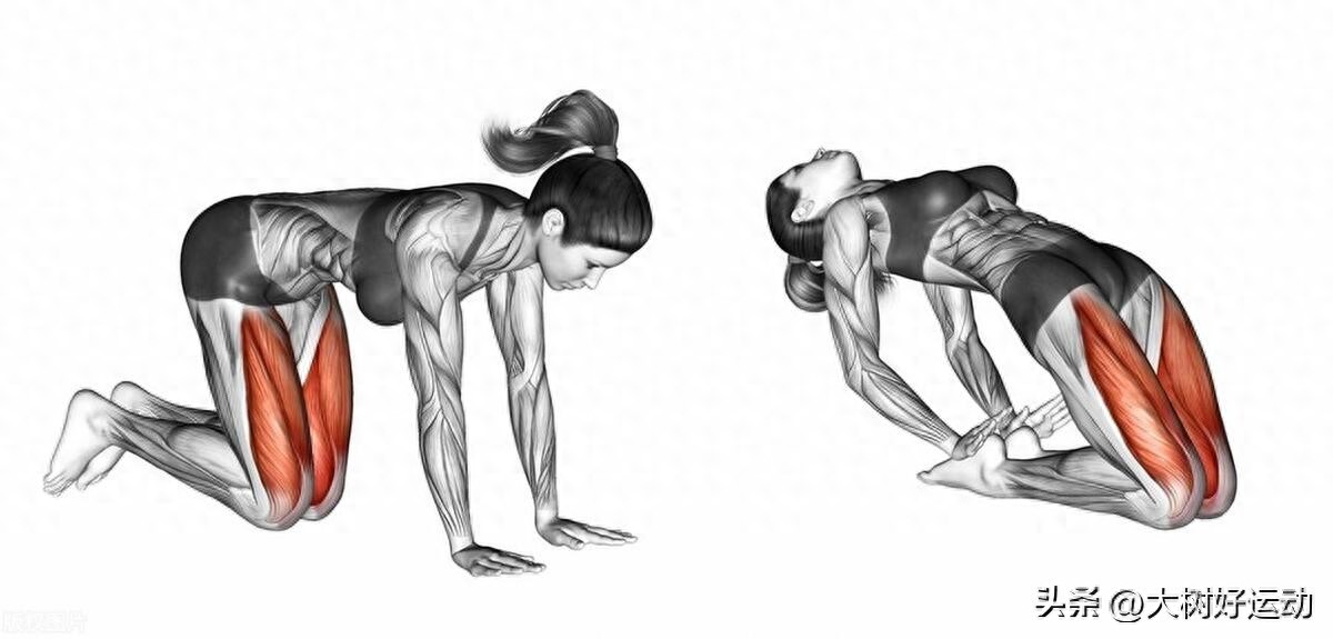 锻炼股四头肌方法_股四头肌训练椅_如何提升腿部耐力训练