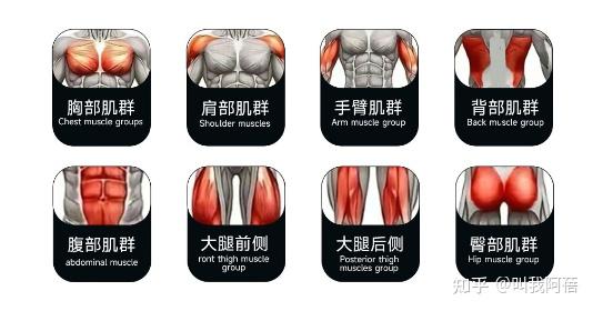 女神漫画免费登录入口页面弹窗 综合训练器