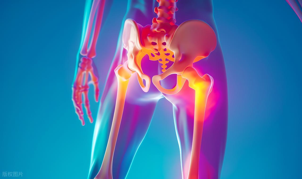 髋关节训练椅_髋关节活动异常与退变关系_髋关节卡顿