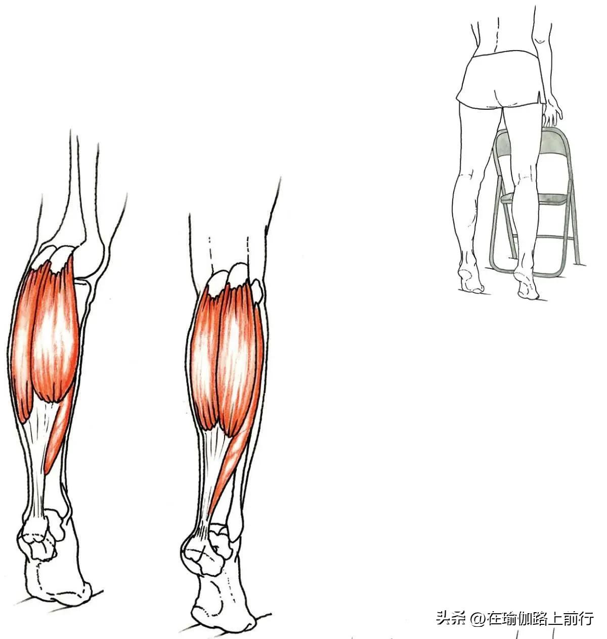 增强下肢肌肉力量_股四头肌训练椅_幻椅式变式