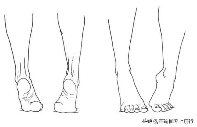 股四头肌训练椅_增强下肢肌肉力量_幻椅式变式