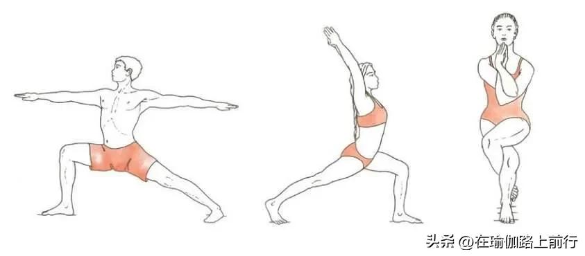 股四头肌训练椅_增强下肢肌肉力量_幻椅式变式