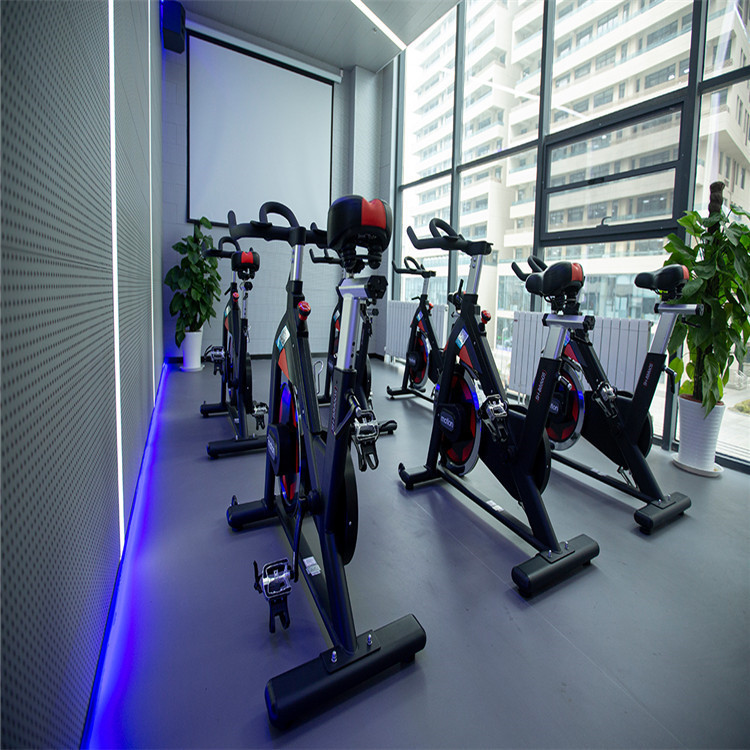 保定健身房跑步机,磁控动感单车,供应