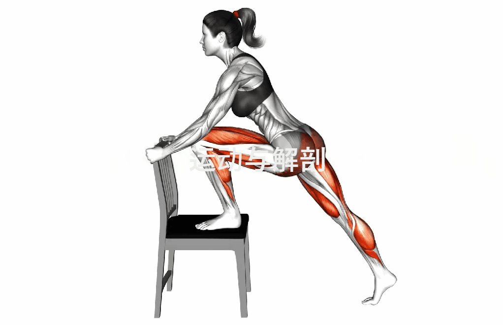 椅子踮脚臀桥训练_髋关节训练椅_椅子弓步动态拉伸训练