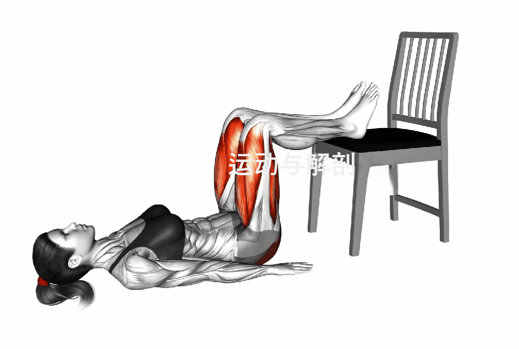 髋关节训练椅_椅子踮脚臀桥训练_椅子弓步动态拉伸训练