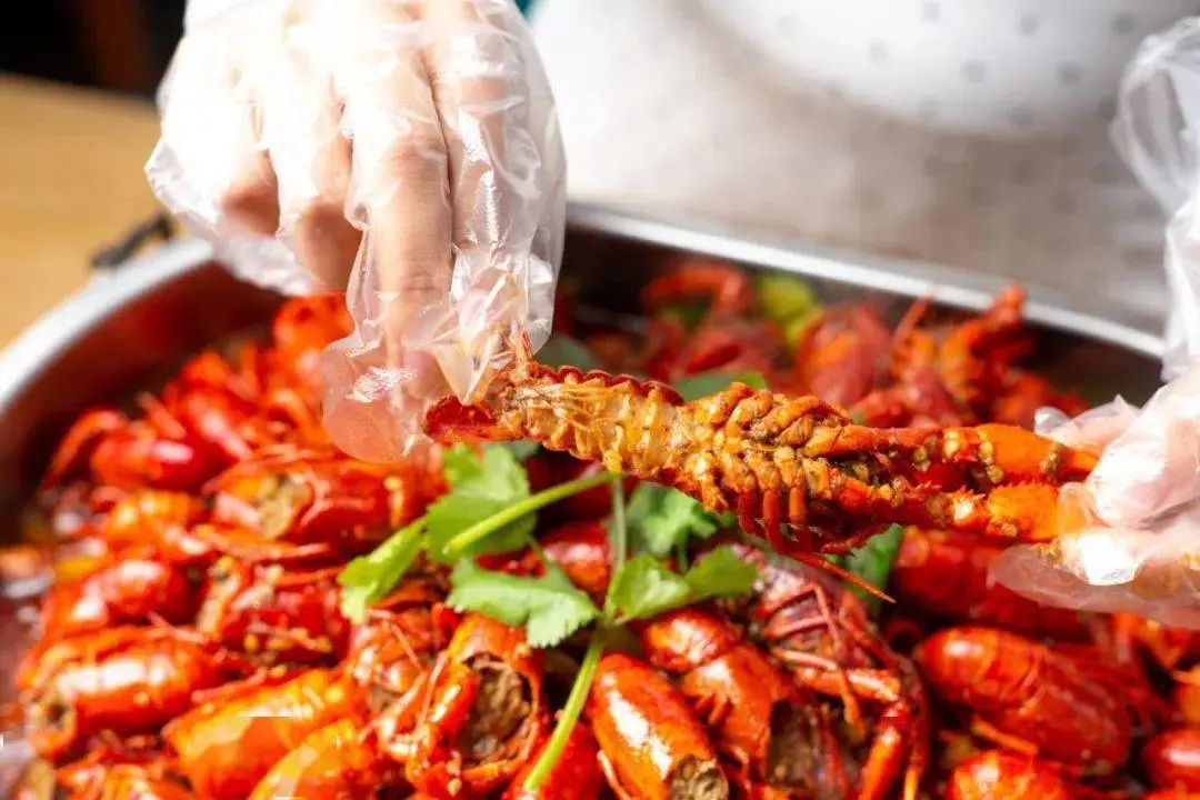 蜗牛健身手套_PE手套防不住油的原因_小龙虾PE手套防油原理