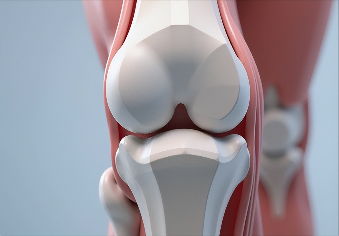 股四头肌训练椅_膝盖疼痛缓解训练_膝盖养护动作指南
