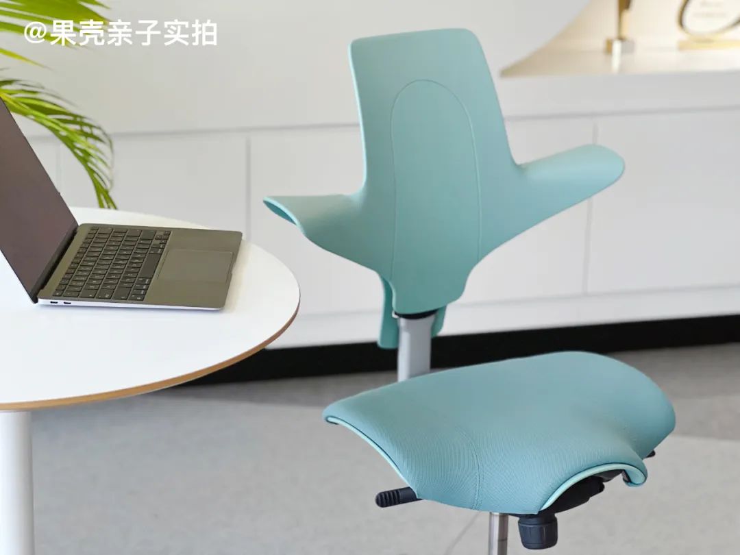 挪威进口人体工学椅_髋关节训练椅_HÅG Capisco Puls 骑马椅