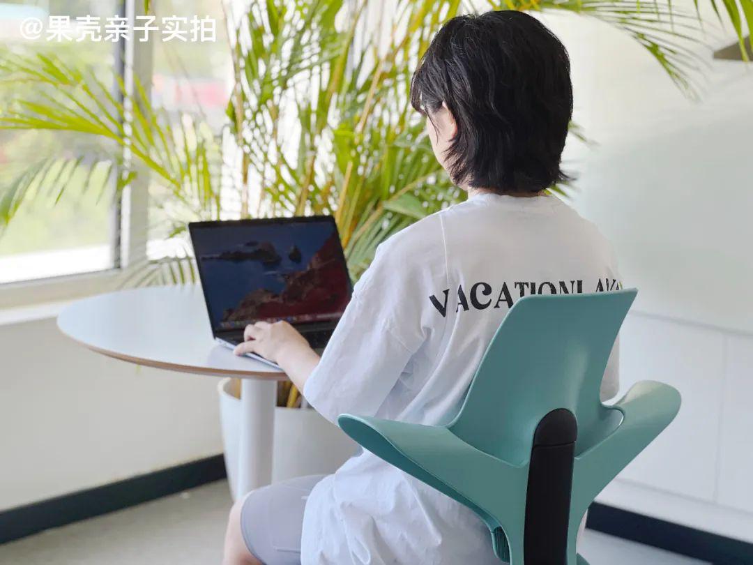 HÅG Capisco Puls 骑马椅_髋关节训练椅_挪威进口人体工学椅