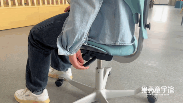 髋关节训练椅_挪威进口人体工学椅_HÅG Capisco Puls 骑马椅