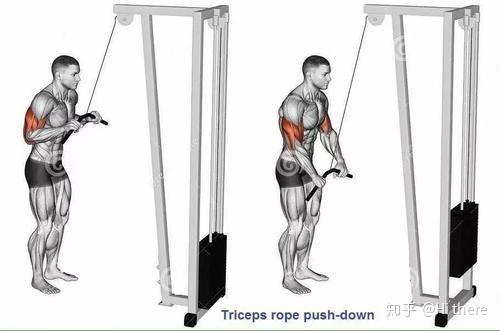 健身入门词汇_健身用缠手带还是手套_健身解剖词汇