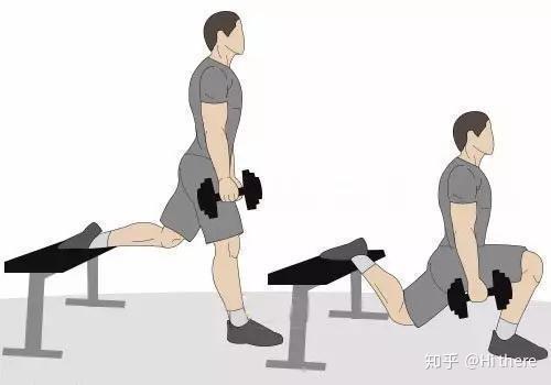 健身解剖词汇_健身用缠手带还是手套_健身入门词汇