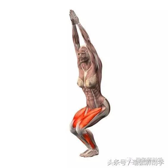瑜伽幻椅式膝盖压力减少方法_先屈髋再屈膝练习_髋关节训练椅