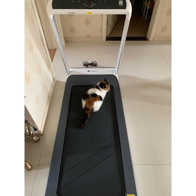 对比区别:亿健a5s和a5选择入手哪个好呢