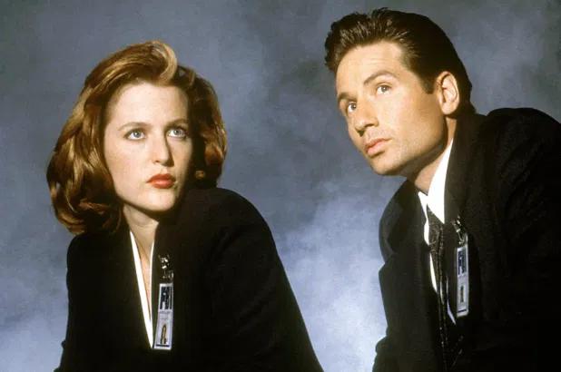 hsextv hsex.tv_gillian anderson x files career_gillian anderson never wear bra